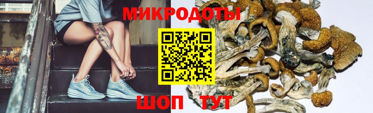 Галлюциногенные грибы мухоморы  Вход с VPN  Еманжелинск  где купить   Галлюциногенные грибы Magic Shrooms 